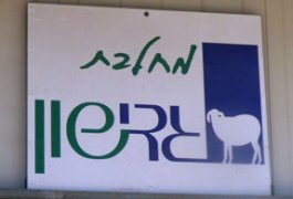 מחלבת גדישון של גד