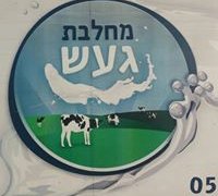 מחלבת ג.ע.ש